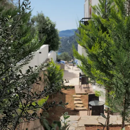 Oliva Mare 3* Marmaris