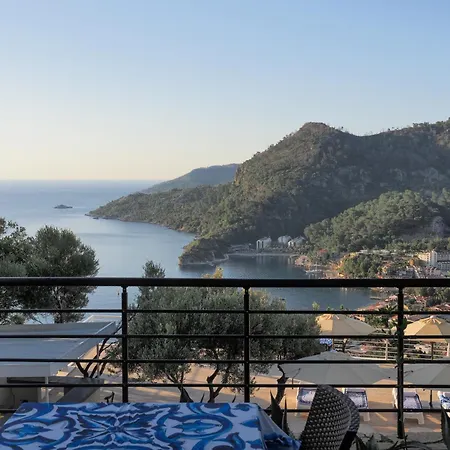 Oliva Mare