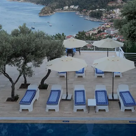 Oliva Mare