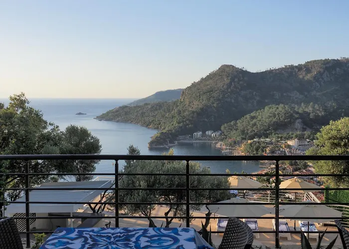 Oliva Mare